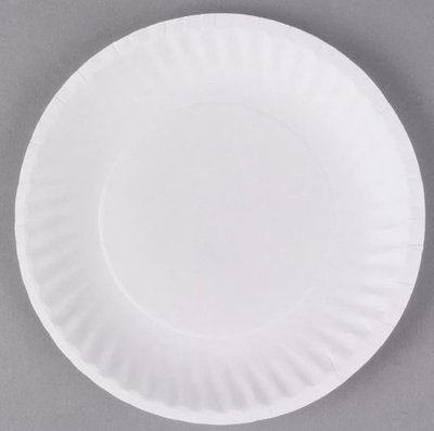 6' SAGE WHITE COATED PAPER PLATES